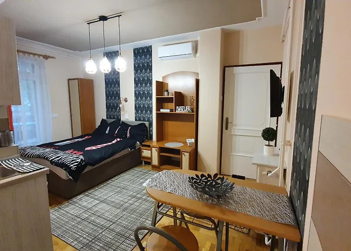 Agnes Vendeghazak Siofok-apartman 2 * Siófok